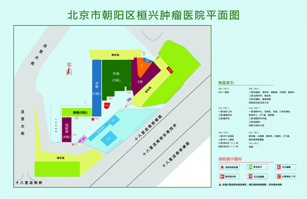 插穴网站北京市朝阳区桓兴肿瘤医院平面图